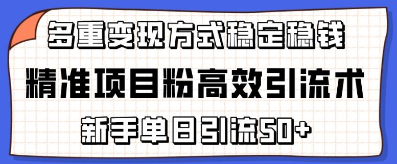 精准项目粉高效引流术，新手单日引流50+，多重变现方式稳定赚钱【揭秘】-网创小站