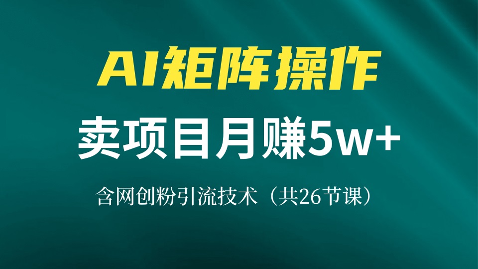 网创IP打造课，借助AI卖项目月赚5万+，含引流技术(共26节课-网创小站