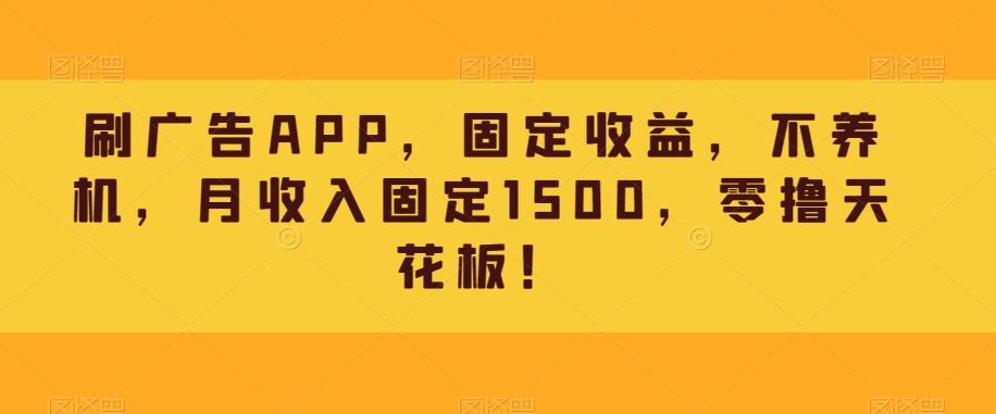 刷广告APP，固定收益，不养机，月收入固定1500，零撸天花板！-网创小站