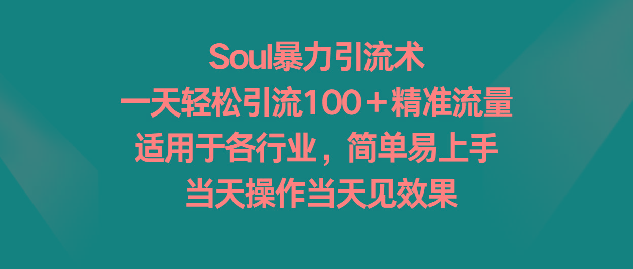 Soul暴力引流术，一天轻松引流100＋精准流量，适用于各行业，简单易上手！-网创小站