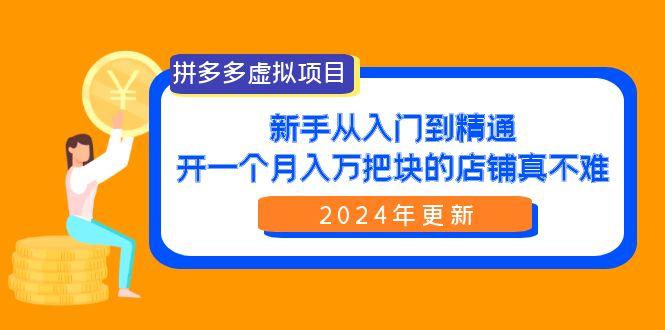 (9744期)拼多多虚拟项目：入门到精通，开一个月入万把块的店铺 真不难(24年更新)-网创小站