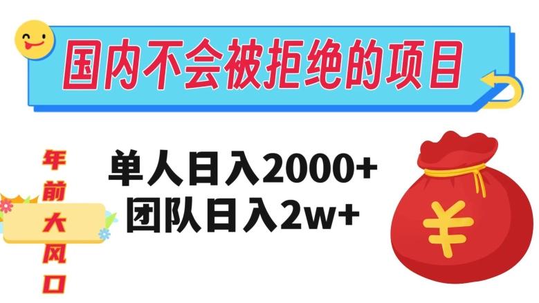 在国内不怕被拒绝的项目，单人日入2000，团队日入20000+【揭秘】-网创小站