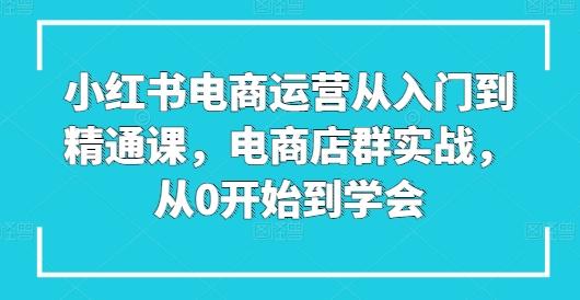 小红书电商运营从入门到精通课，电商店群实战，从0开始到学会-网创小站