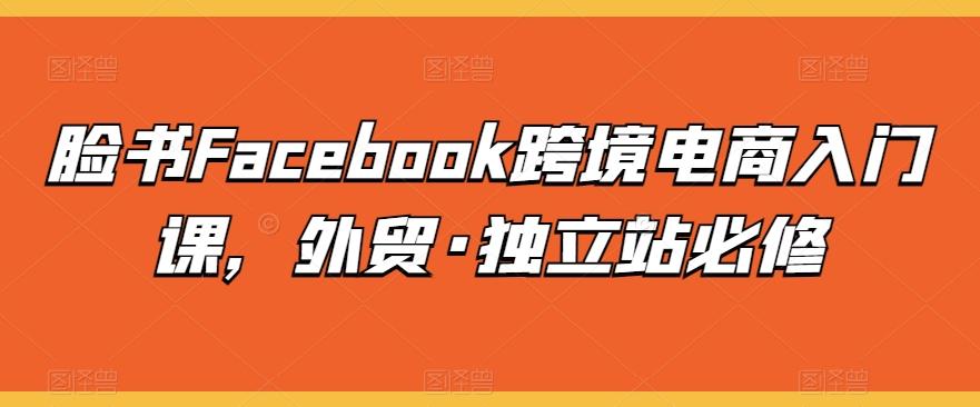 脸书Facebook跨境电商入门课，外贸·独立站必修-网创小站