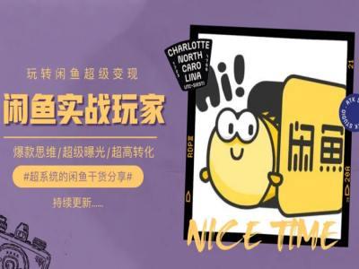 手把手教你0到1系统玩转闲鱼变现，爆款思维/超级曝光/超高转化-网创小站