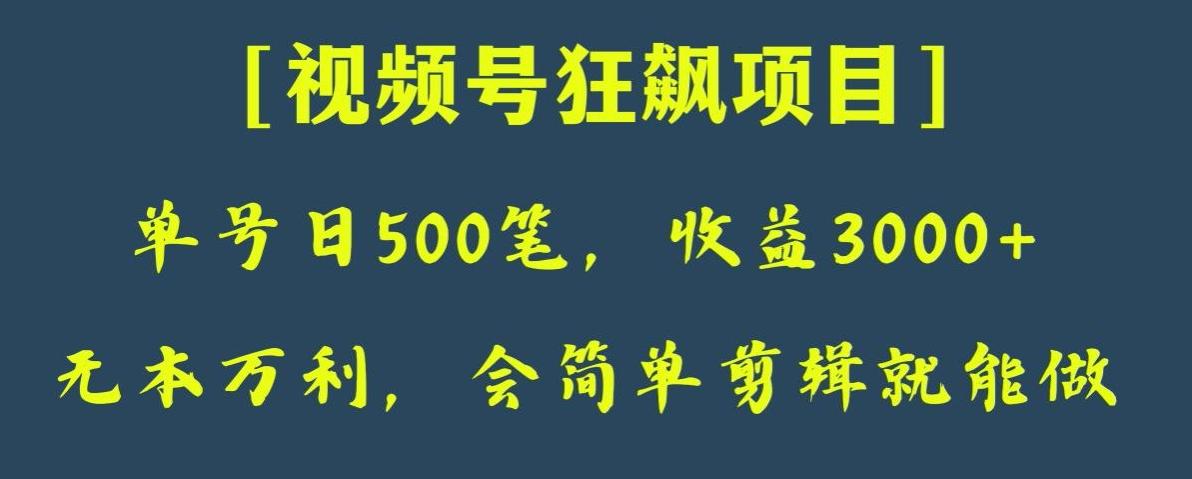 日收款500笔，纯利润3000+，视频号狂飙项目，会简单剪辑就能做【揭秘】-网创小站
