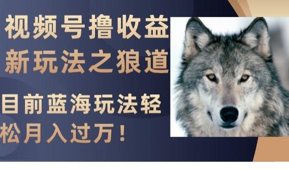 视频号撸收益新玩法之狼道，目前蓝海玩法，轻松月入过万【揭秘】-网创小站