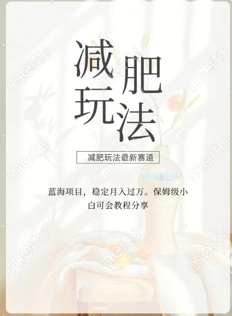 减肥流量主新玩法，轻松月入1W，可矩阵操作收入翻倍-网创小站