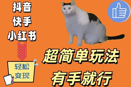 超简单玩法，有手就行，靠猫咪视频日入500+【揭秘】-网创小站