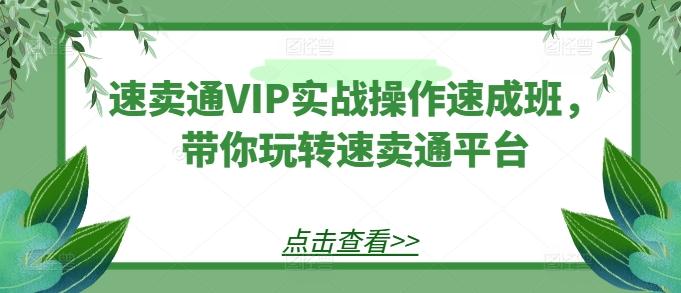 速卖通VIP实战操作速成班，带你玩转速卖通平台-网创小站