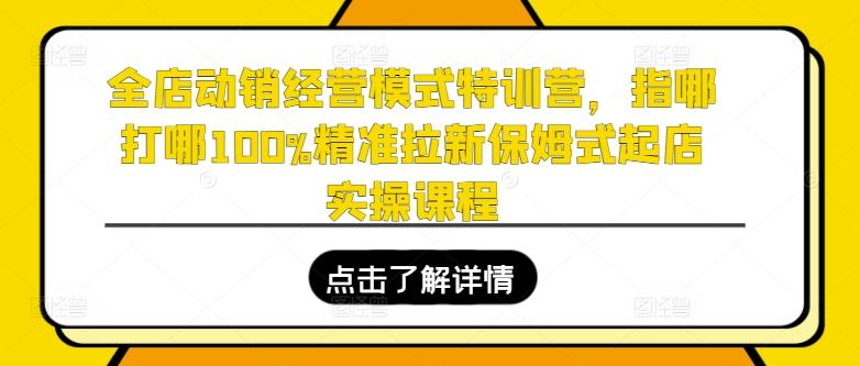 全店动销经营模式特训营，指哪打哪100%精准拉新保姆式起店实操课程-网创小站