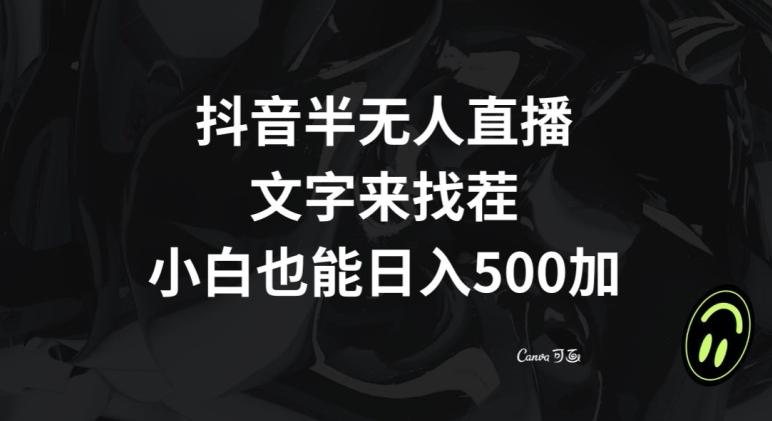 抖音半无人直播，文字来找茬小游戏，每天收益500+【揭秘】-网创小站