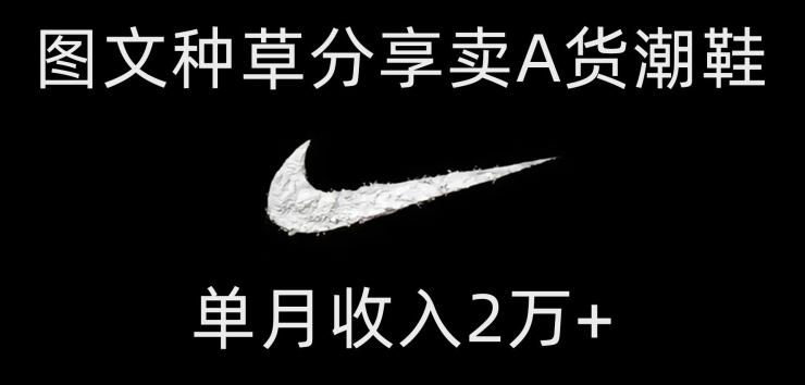 靠图文种草分享卖A货潮鞋，每天一小时，单月收入2万+【揭秘】-网创小站