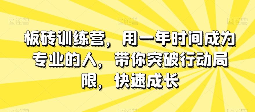 板砖训练营，用一年时间成为专业的人，带你突破行动局限，快速成长-网创小站