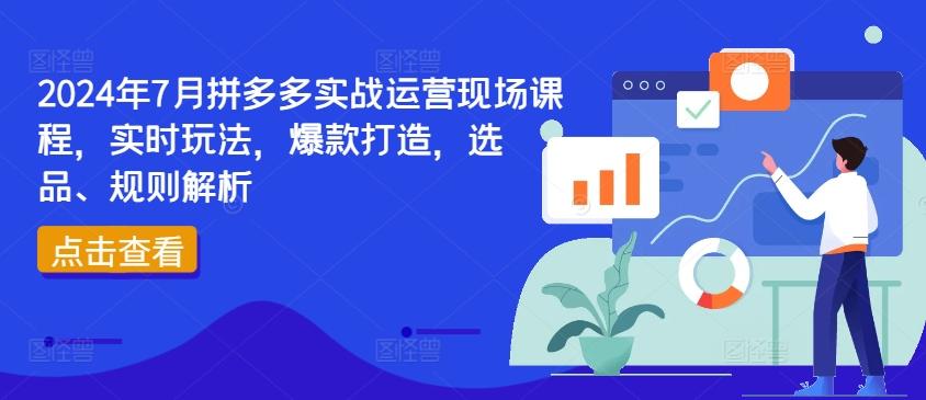 2024年7月拼多多实战运营现场课程，实时玩法，爆款打造，选品、规则解析-网创小站