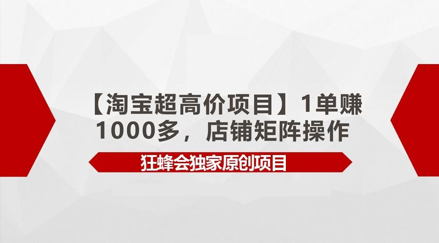 【淘宝超高价项目】1单赚1000多,店铺矩阵操作-网创小站