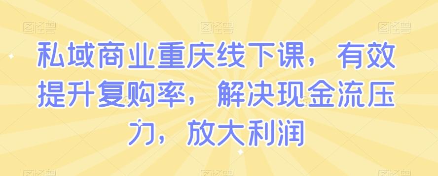 私域商业重庆线下课，有效提升复购率，解决现金流压力，放大利润-网创小站