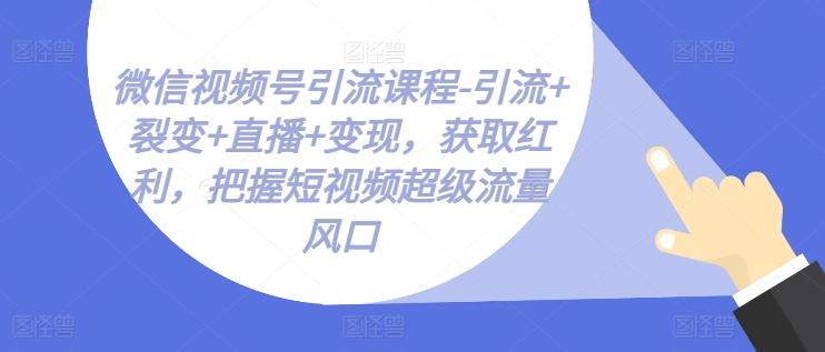 微信视频号引流课程-引流+裂变+直播+变现，获取红利，把握短视频超级流量风口-网创小站
