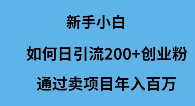 (9668期)新手小白如何日引流200+创业粉通过卖项目年入百万-网创小站