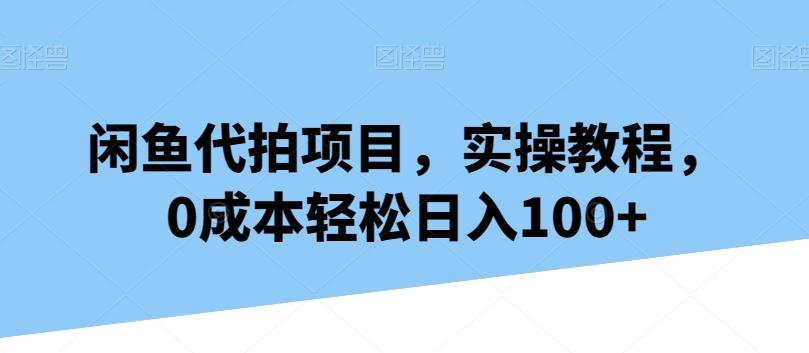 闲鱼代拍项目，实操教程，0成本轻松日入100+-网创小站