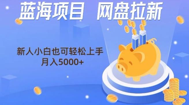 蓝海项目网盘拉新，新人小白也可操作，每月收入5000+-网创小站