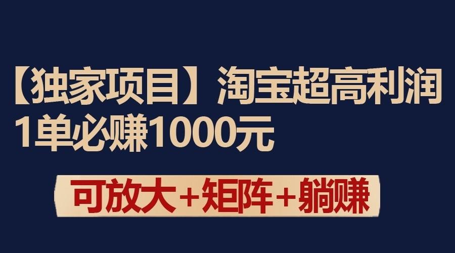 独家淘宝超高利润项目：1单必赚1000元，可放大可矩阵操作-网创小站