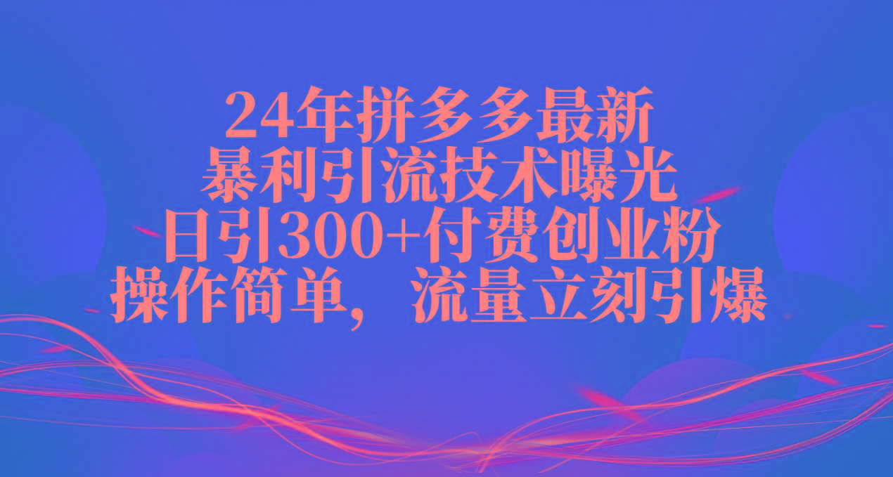 24年拼多多最新暴利引流技术曝光，日引300+付费创业粉，操作简单，流量…-网创小站
