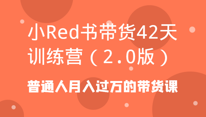 小Red书带货42天训练营(2.0版)普通人月入过万的带货课-网创小站