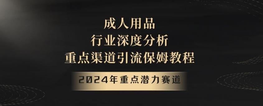 2024年重点潜力赛道，成人用品行业深度分析，重点渠道引流保姆教程【揭秘】-网创小站