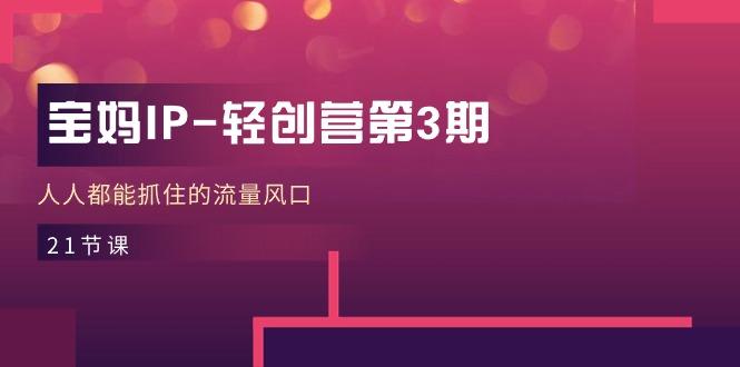 宝妈IP-轻创营第3期，人人都能抓住的流量风口(21节课-网创小站