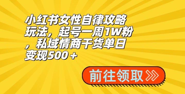 小红书女性自律攻略玩法，起号一周1W粉，私域情商干货单日变现500＋-网创小站