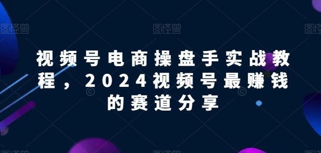 视频号电商实战教程，2024视频号最赚钱的赛道分享-网创小站