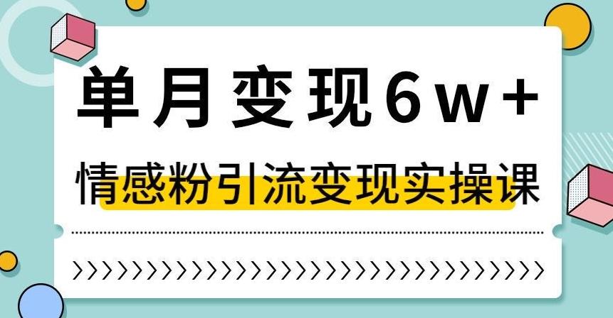 单月变现6W+，抖音情感粉引流变现实操课，小白可做，轻松上手，独家赛道【揭秘】-网创小站