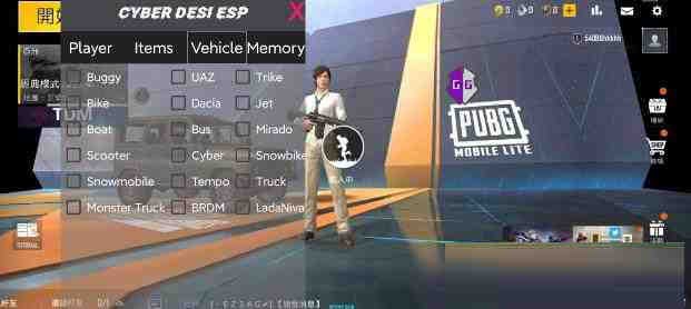 PUBG轻量老外裸奔绘制+自瞄 支持ROOT和框架 里面有全局离线-网创小站