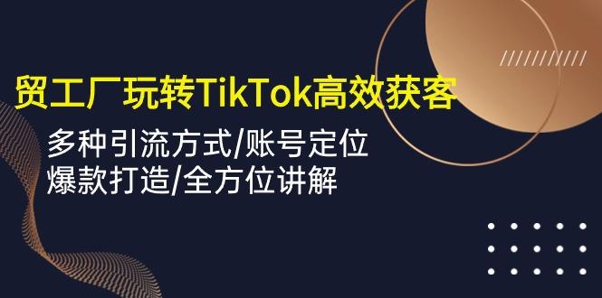 外贸工厂玩转TikTok高效获客，多种引流方式/账号定位/爆款打造/全方位讲解-网创小站
