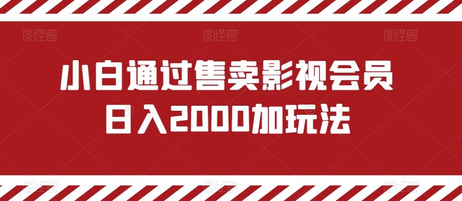 小白通过售卖影视会员日入2000加玩法-网创小站