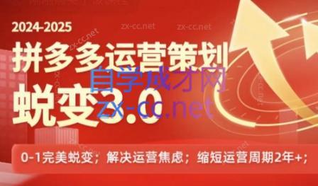 大力老师·2024拼多多运营策略蜕变3.0-网创小站