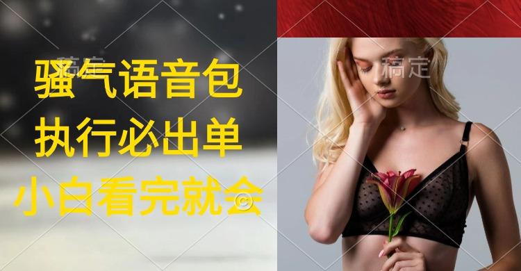 (9589期)执行就出单，日入2000+，超火骚气语音包，小白看完课程就能马上实操-网创小站