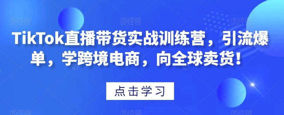 TikTok直播带货实战训练营，引流爆单，学跨境电商，向全球卖货！-网创小站