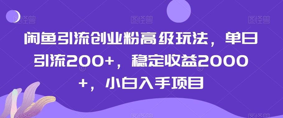闲鱼引流创业粉高级玩法，单日引流200+，稳定收益2000+，小白入手项目-网创小站