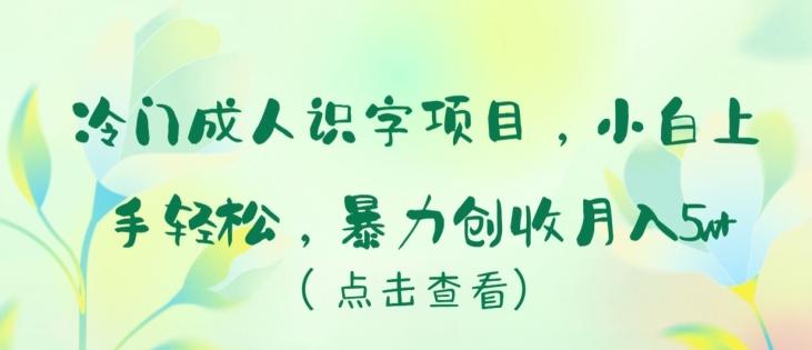 冷门成人识字项目，小白上手轻松，暴力创收月入5w+【揭秘】-网创小站