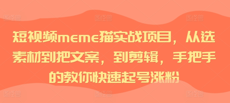 短视频meme猫实战项目，从选素材到把文案，到剪辑，手把手的教你快速起号涨粉-网创小站