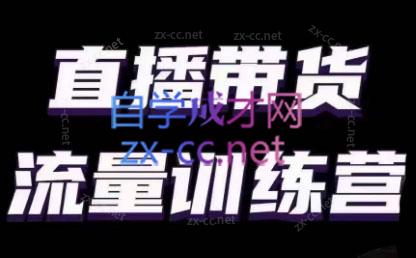 婉婉·直播带货课程系列合集(更新8月)-网创小站