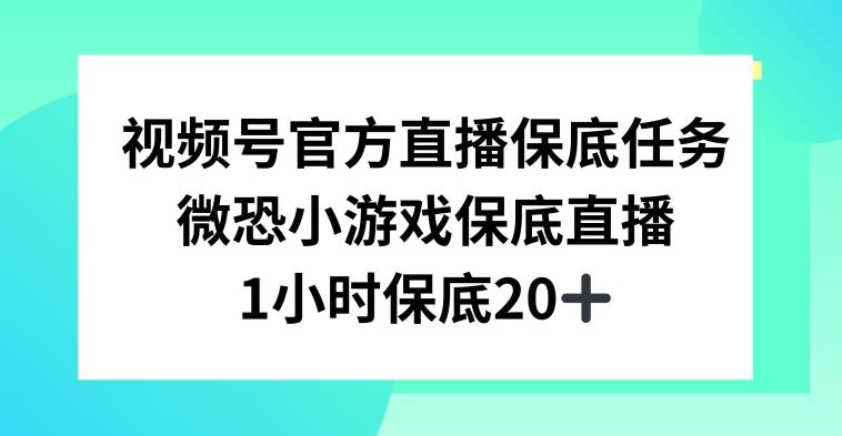 视频号直播任务，微恐小游戏，1小时20+【揭秘】-网创小站