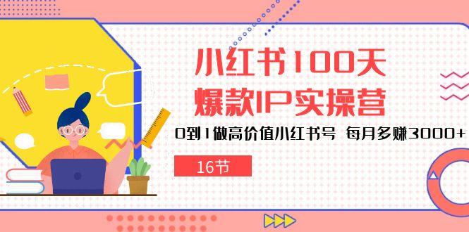 小红书100天-爆款IP实操营，0到1做高价值小红书号 每月多赚3000+(16节-网创小站