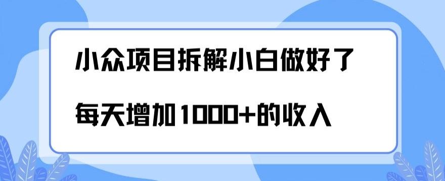 小众项目拆解，小白做好了每天可增加1000多的收入-网创小站