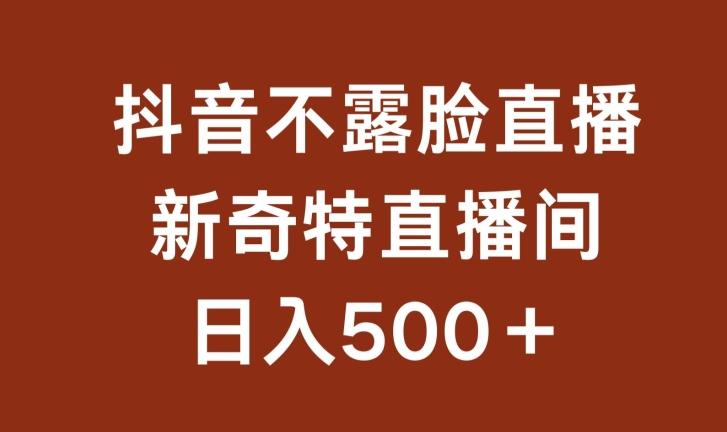 不露脸挂机直播，新奇特直播间，日入500+【揭秘】-网创小站