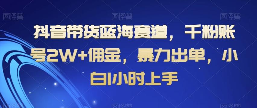 抖音带货蓝海赛道，千粉账号2W+佣金，暴力出单，小白1小时上手【揭秘】-网创小站
