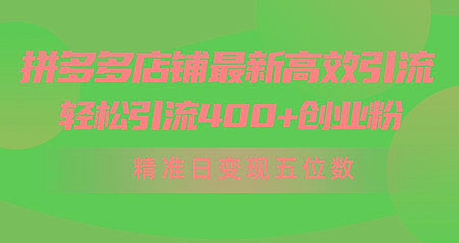 (10041期)拼多多店铺最新高效引流术，轻松引流400+创业粉，精准日变现五位数！-网创小站