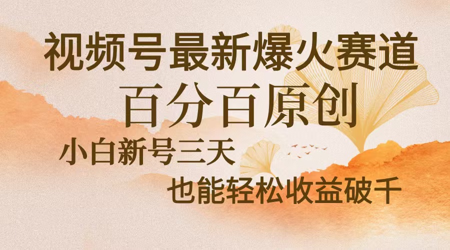 视频号最新爆火赛道，中老年粉深信不疑，百分百原创，新号三天收益轻松...-网创小站